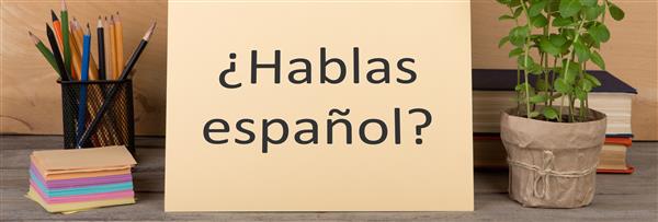 Foreign Language 